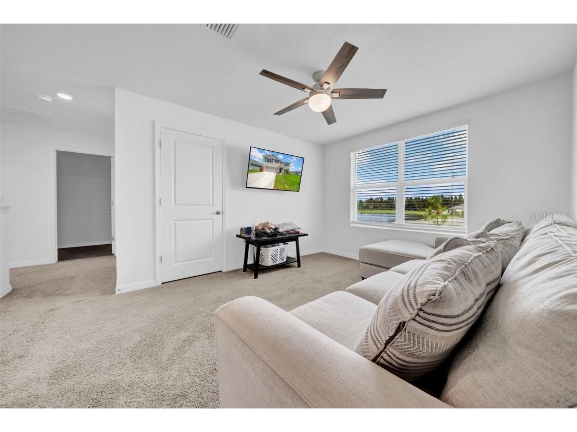 3222 Silver Date Drive Wimauma FL 33598 TB8411065 image30