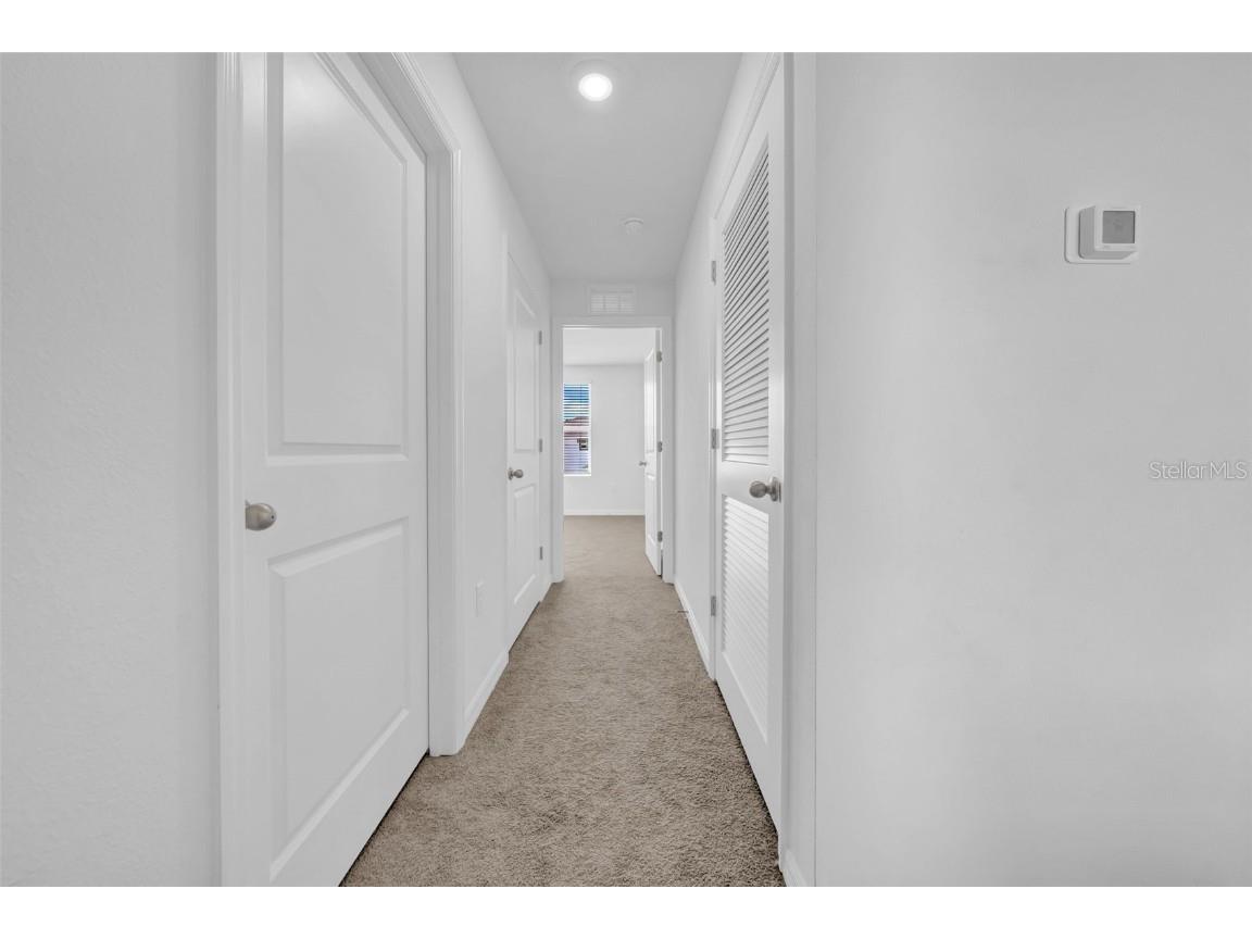 3222 Silver Date Drive Wimauma FL 33598 TB8411065 image31