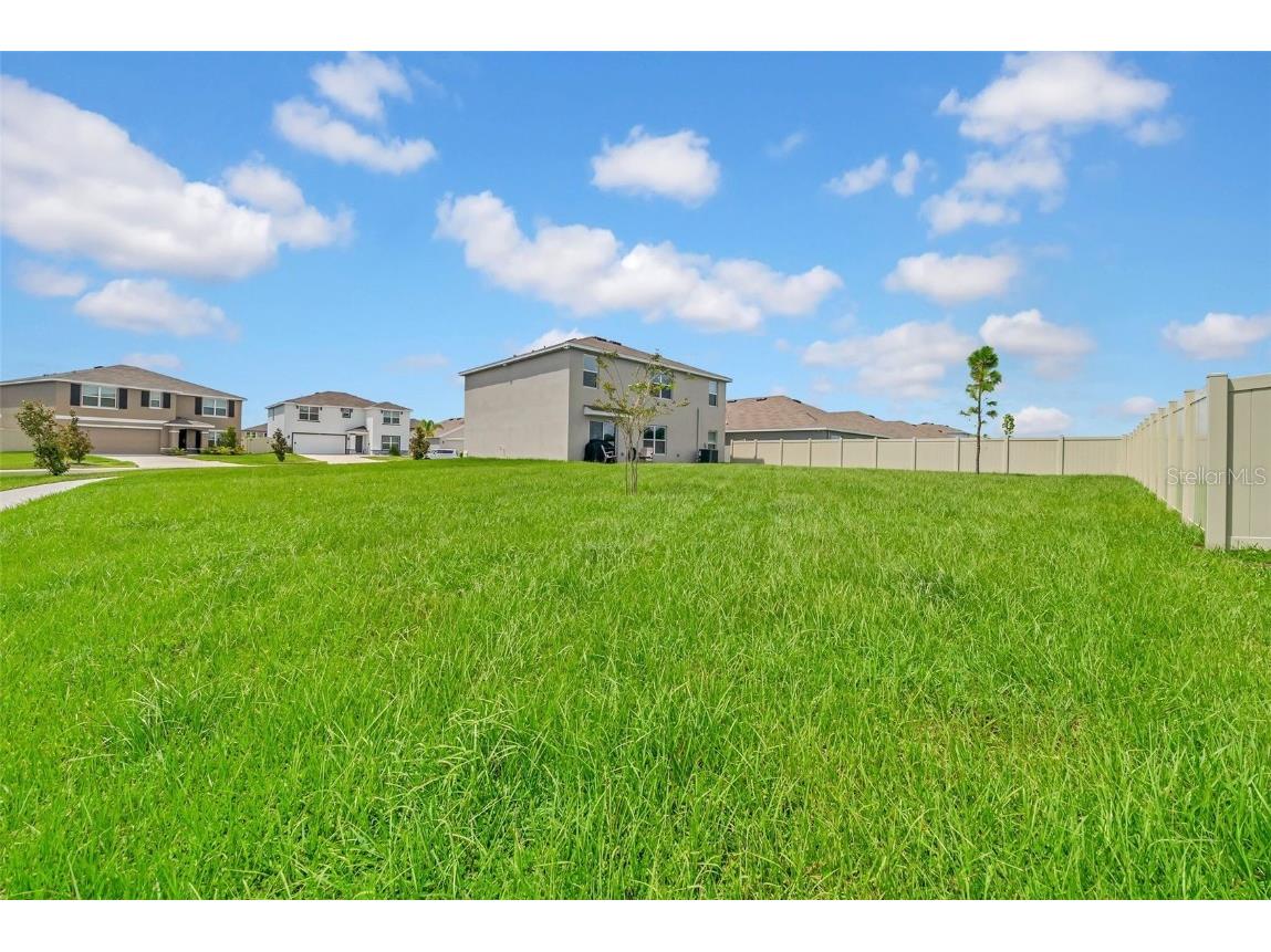 3222 Silver Date Drive Wimauma FL 33598 TB8411065 image7