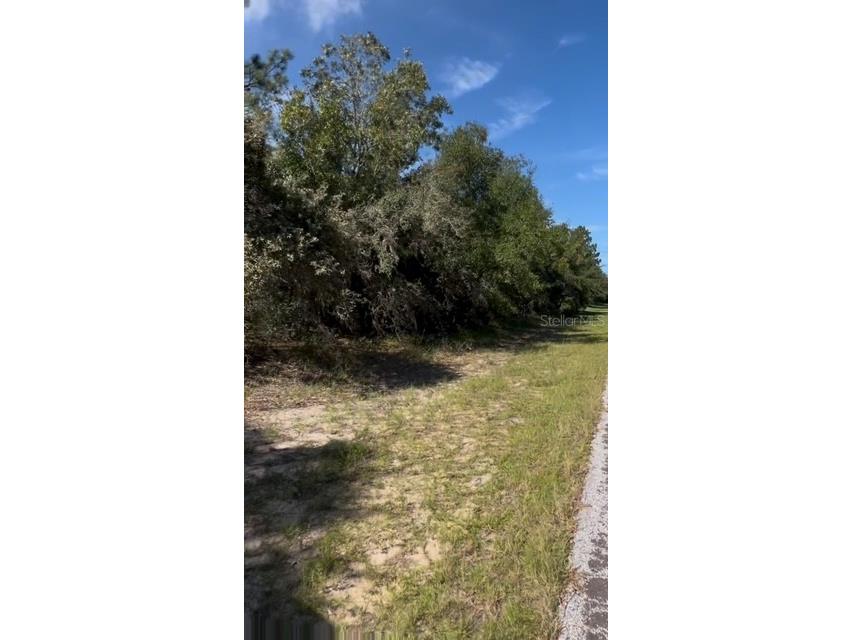 3222 W Brazilnut Road Beverly Hills FL 34465 TB8424755 image1