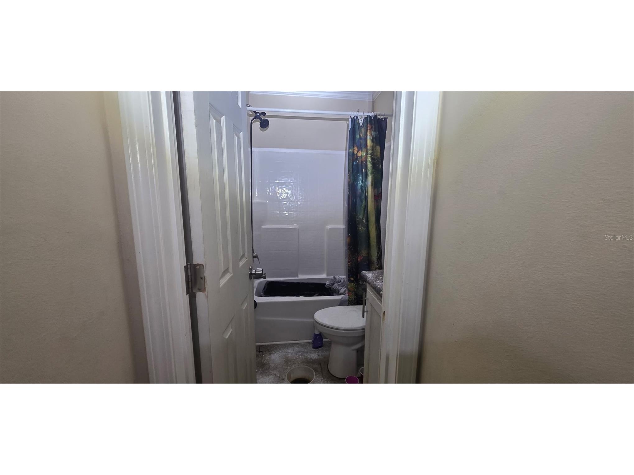 3222 Welsh Street Spring Hill FL 34606 A4680342 image8