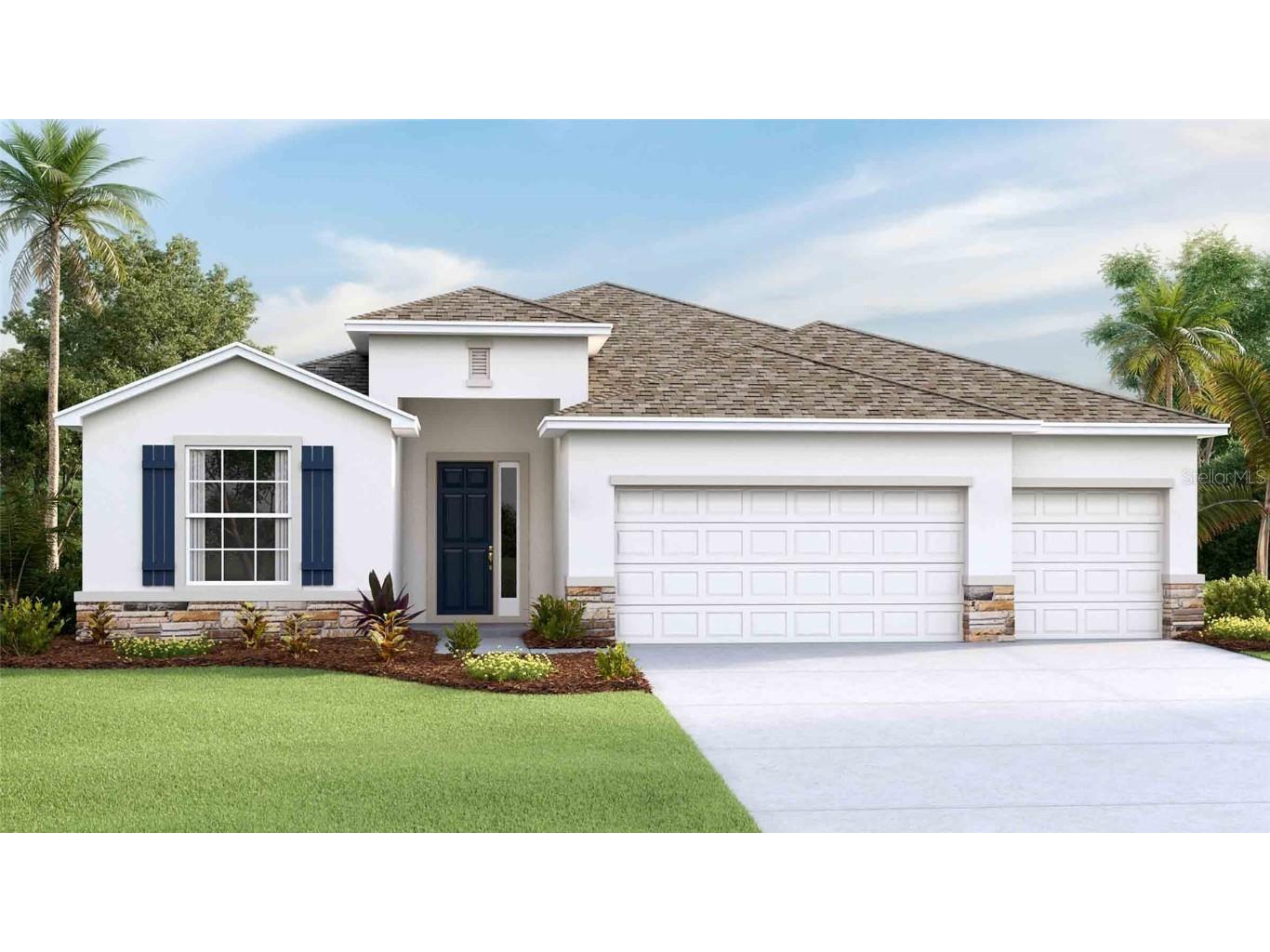 32226 Conchshell Sail Street Wesley Chapel FL 33545 T3443510 image1