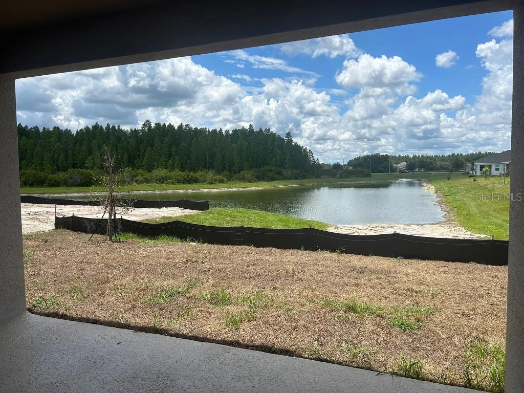 32226 Eldorado Canyon Loop Wesley Chapel FL 33543 W7878886 image4