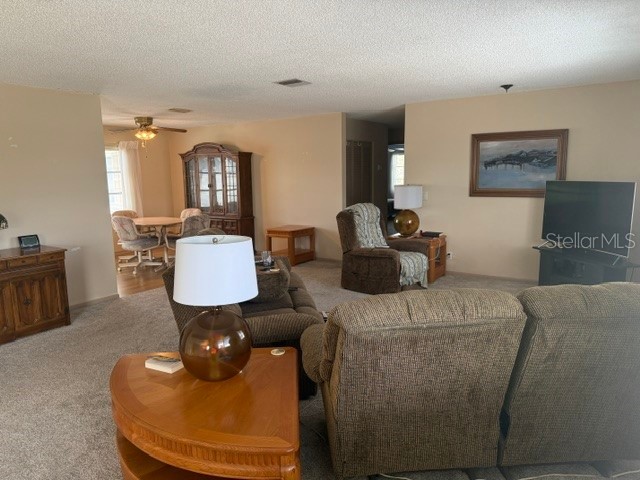 3223 38th Way S #F Saint Petersburg FL 33711 TB8500725 image20