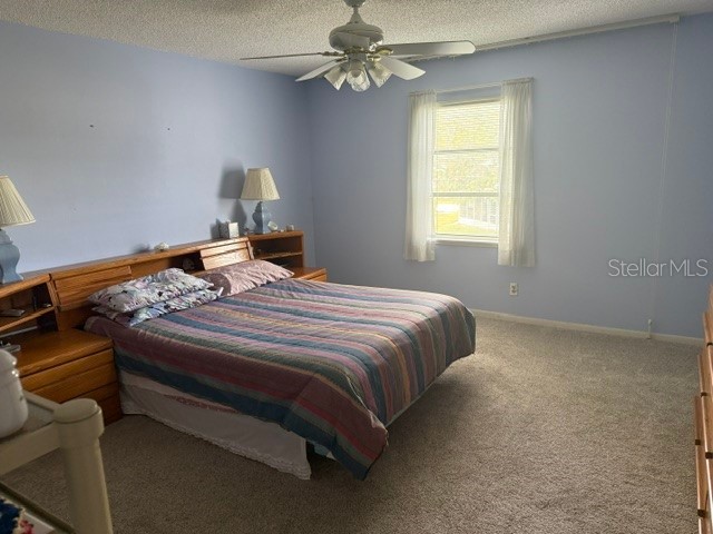 3223 38th Way S #F Saint Petersburg FL 33711 TB8500725 image22