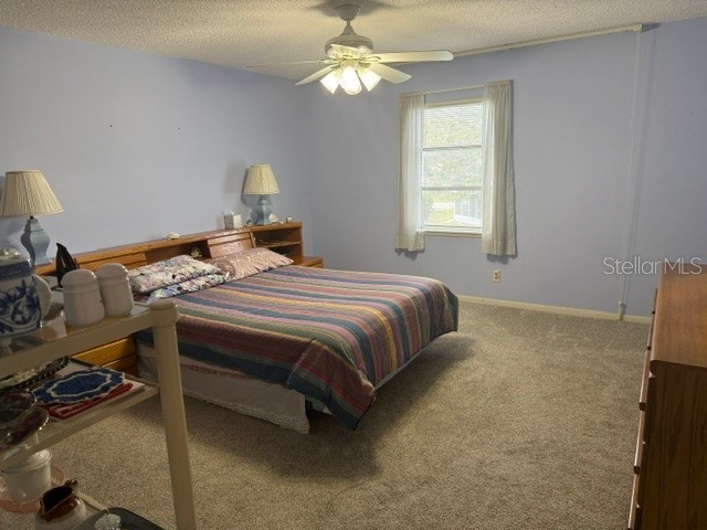 3223 38th Way S #F Saint Petersburg FL 33711 TB8500725 image24