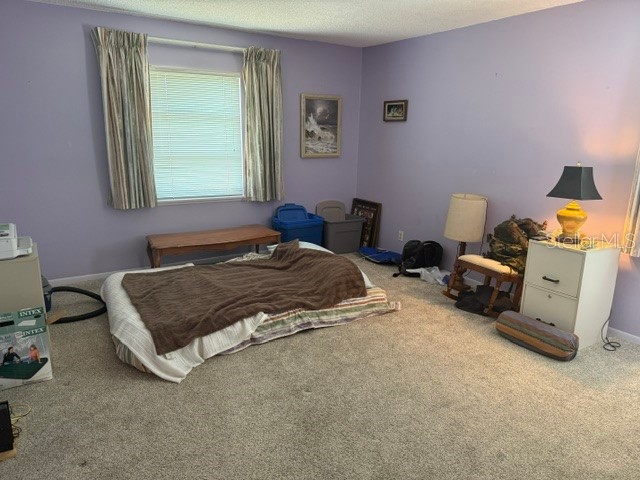 3223 38th Way S #F Saint Petersburg FL 33711 TB8500725 image37