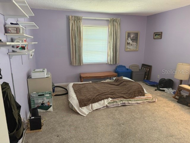 3223 38th Way S #F Saint Petersburg FL 33711 TB8500725 image38