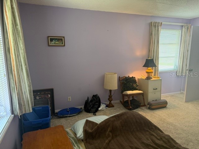 3223 38th Way S #F Saint Petersburg FL 33711 TB8500725 image40