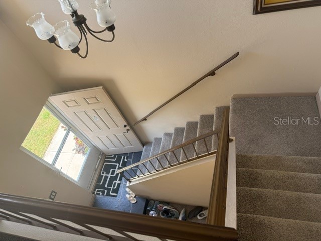 3223 38th Way S #F Saint Petersburg FL 33711 TB8500725 image5