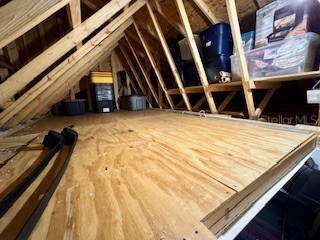 3223 Evenmore Way Wildwood FL 34785 W7882493 image37