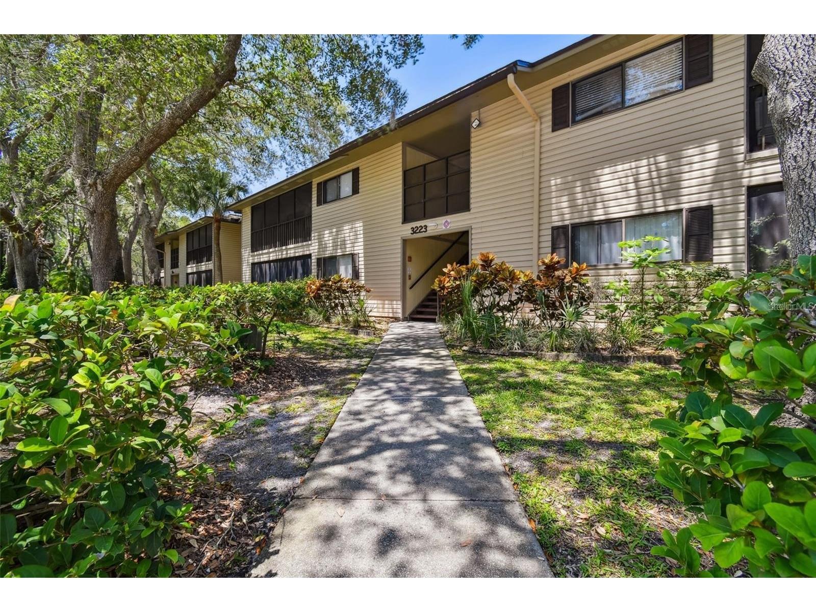 3223 Fox Chase Circle N #206 Palm Harbor FL 34683 TB8463967 image1