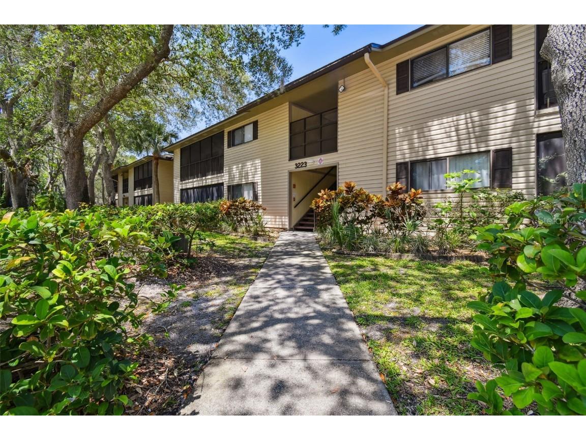 3223 Fox Chase Circle N #208 Palm Harbor FL 34683 U8200278 image1