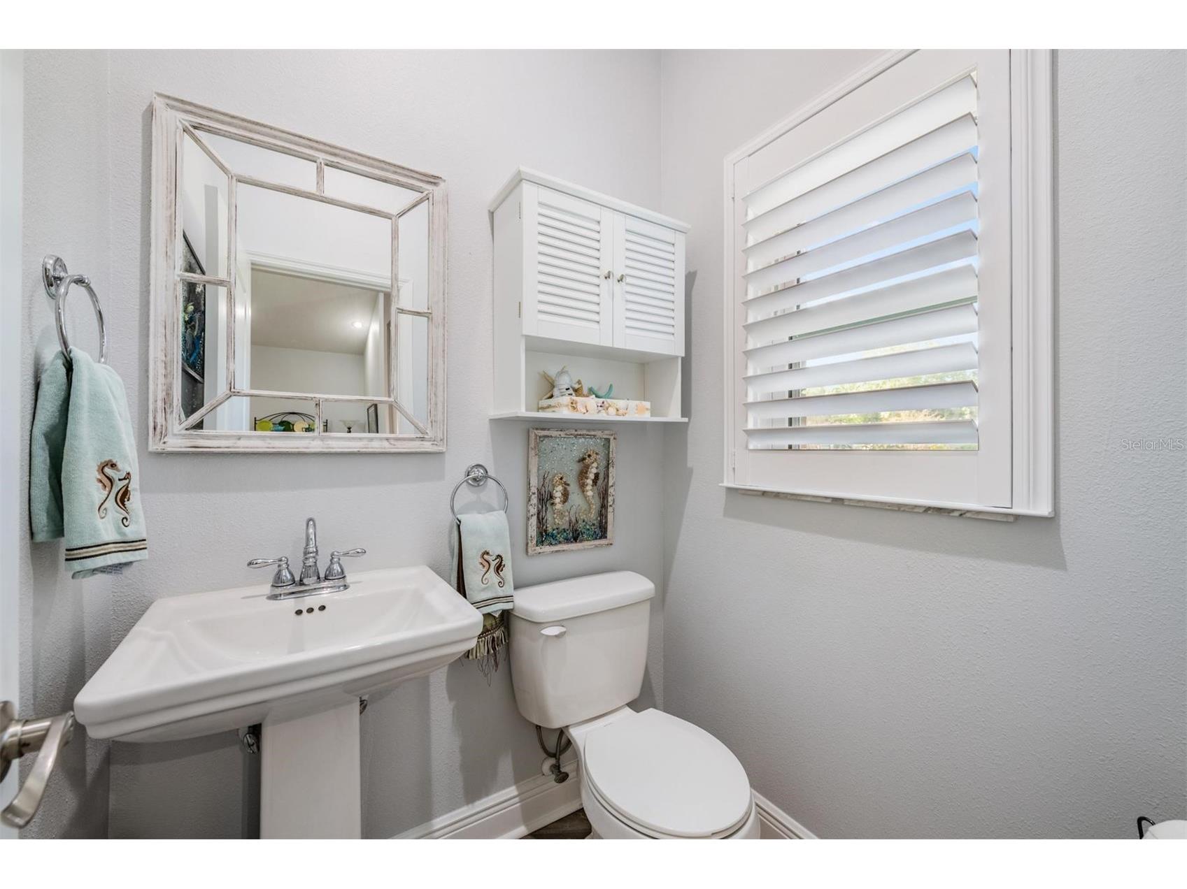 3223 Harvest Moon Drive Palm Harbor FL 34683 TB8491064 image14