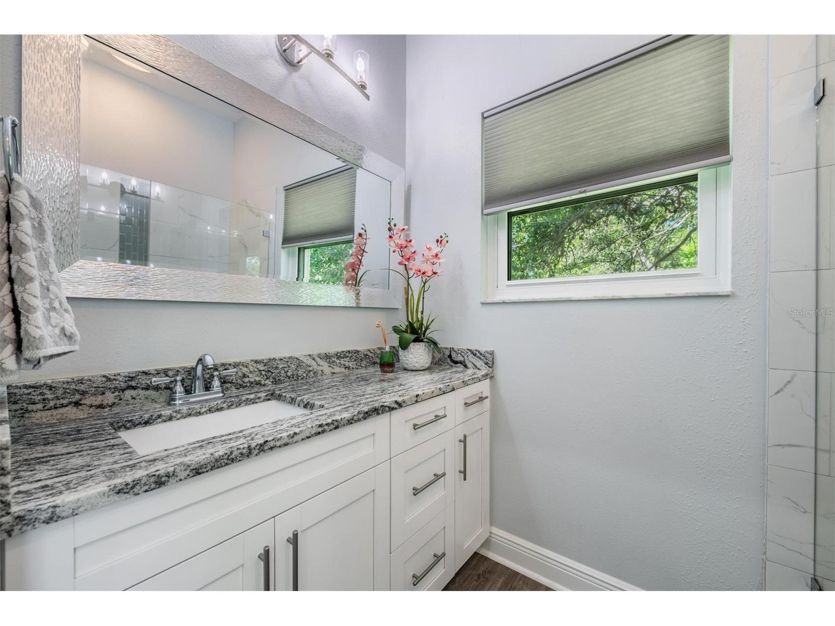 3223 Harvest Moon Drive Palm Harbor FL 34683 TB8491064 image19