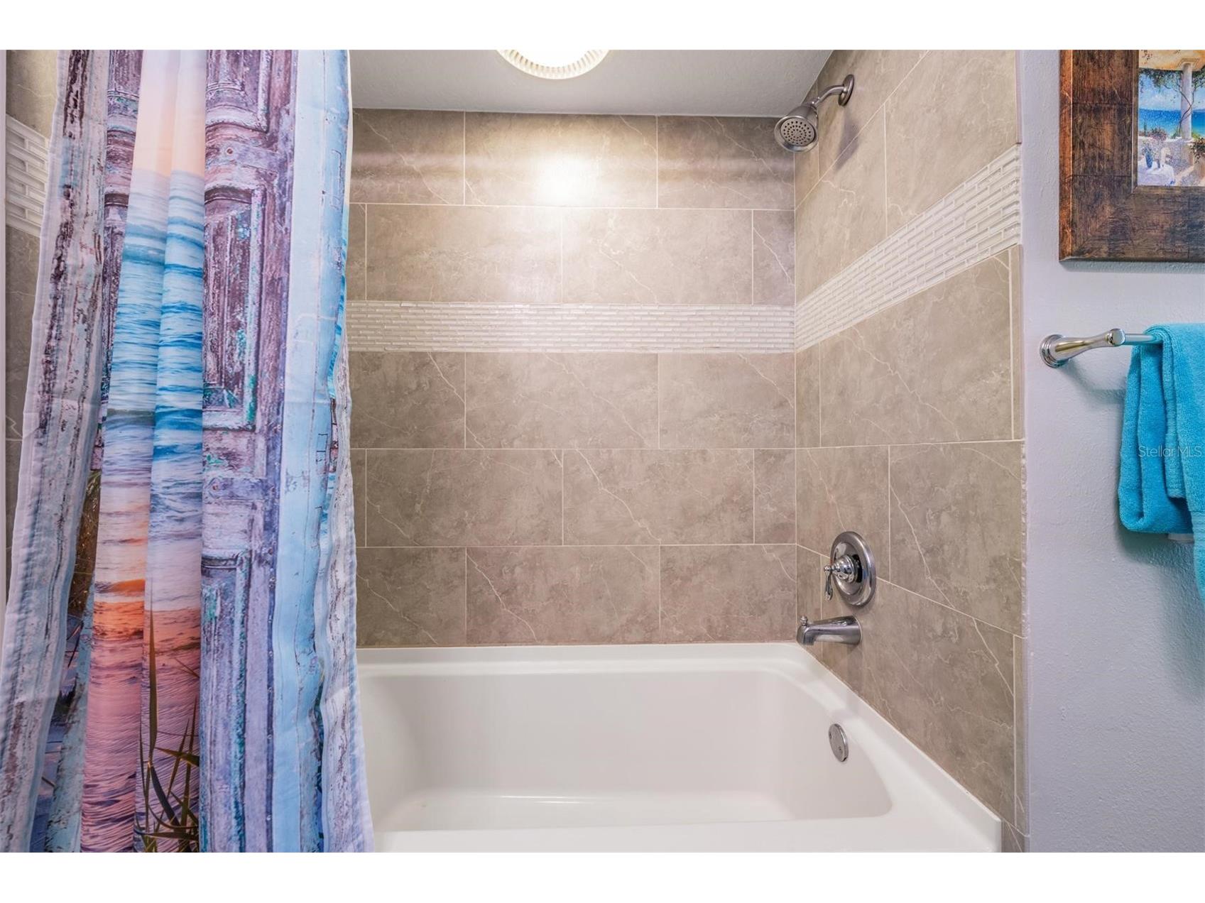 3223 Harvest Moon Drive Palm Harbor FL 34683 TB8491064 image33