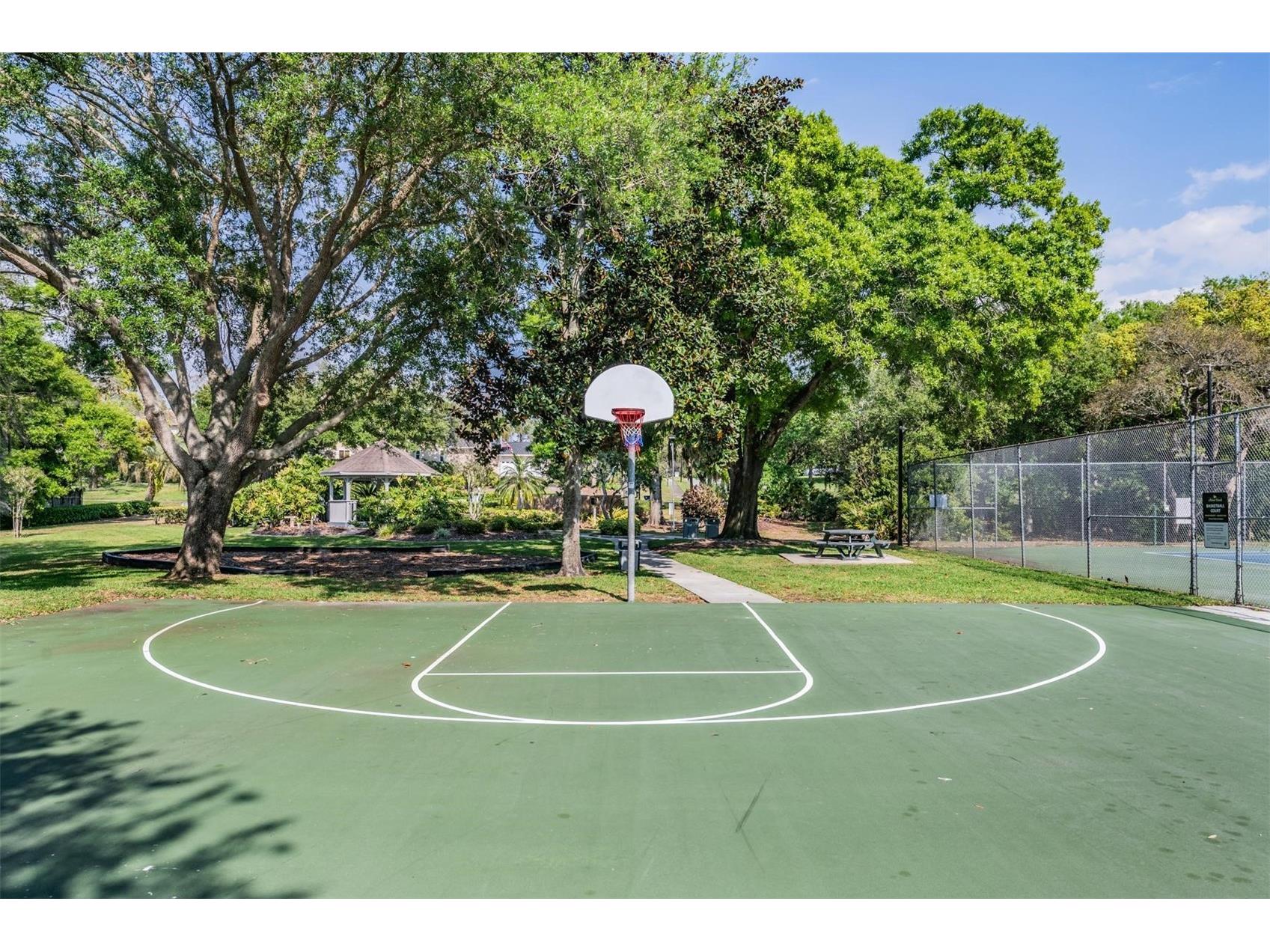 3223 Harvest Moon Drive Palm Harbor FL 34683 TB8491064 image52