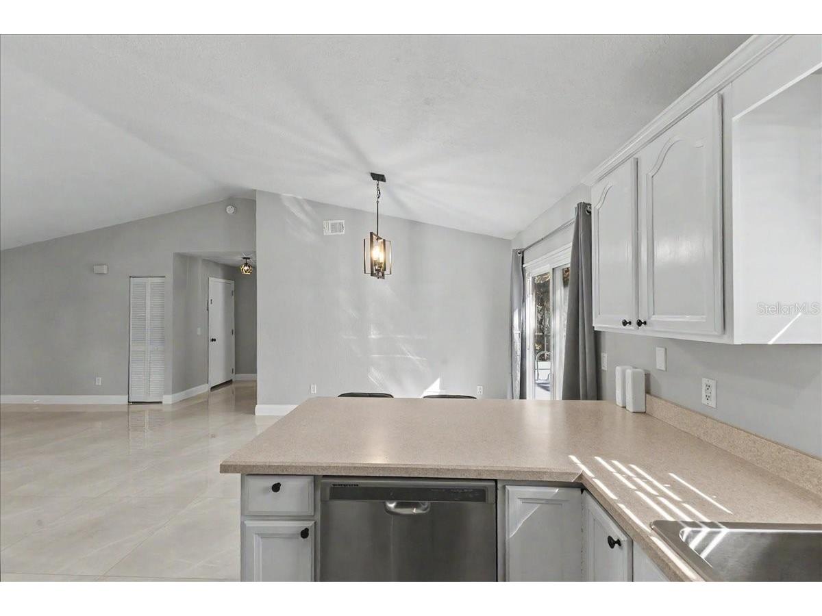 3223 Tamarind Drive Edgewater FL 32141 O6399485 image16