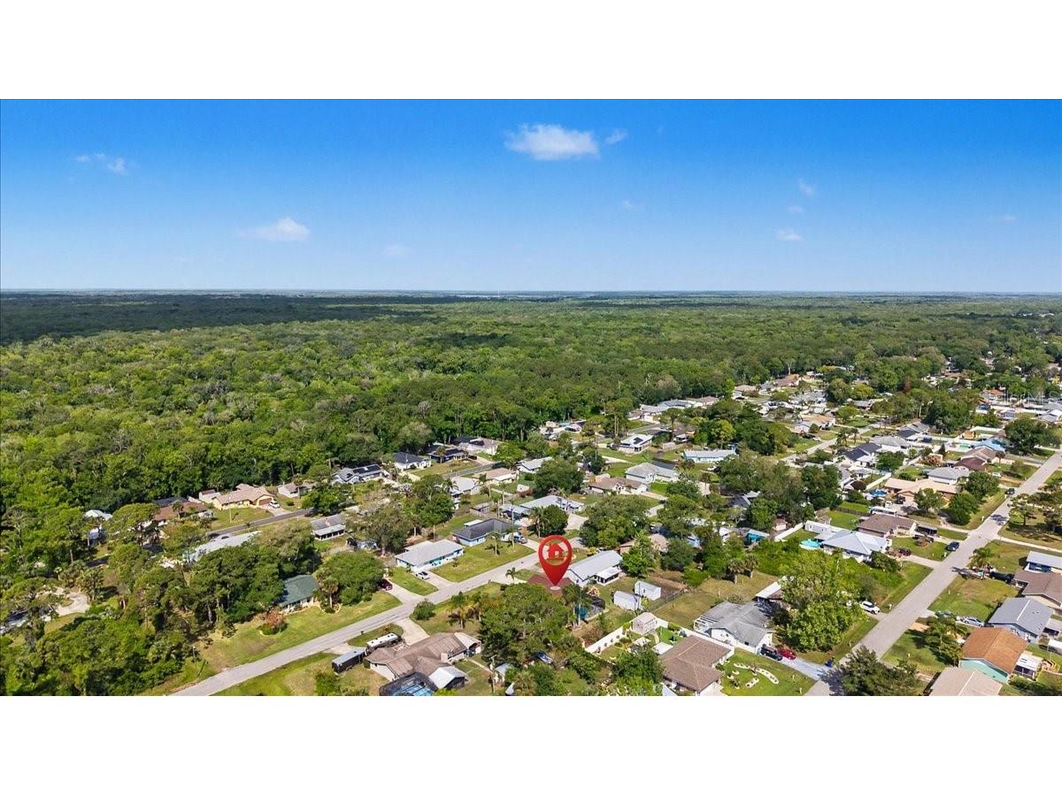 3223 Tamarind Drive Edgewater FL 32141 O6399485 image64