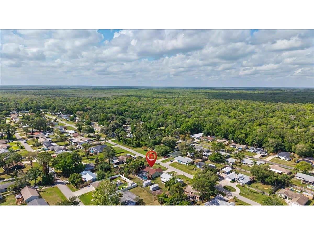 3223 Tamarind Drive Edgewater FL 32141 O6399485 image65