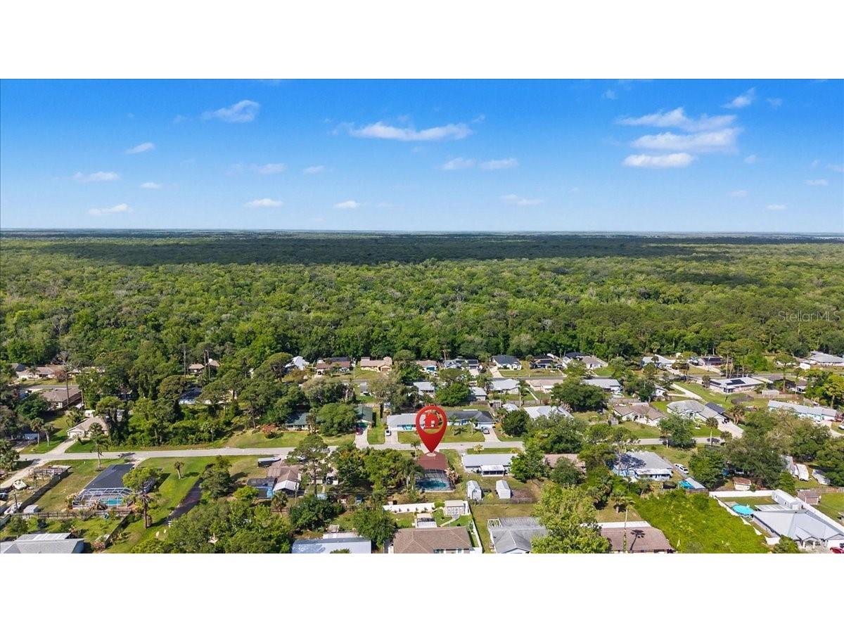 3223 Tamarind Drive Edgewater FL 32141 O6399485 image66
