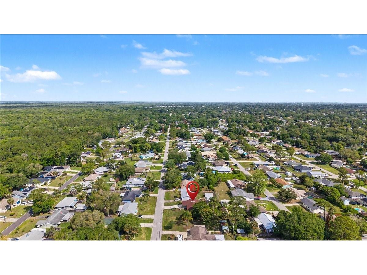 3223 Tamarind Drive Edgewater FL 32141 O6399485 image70