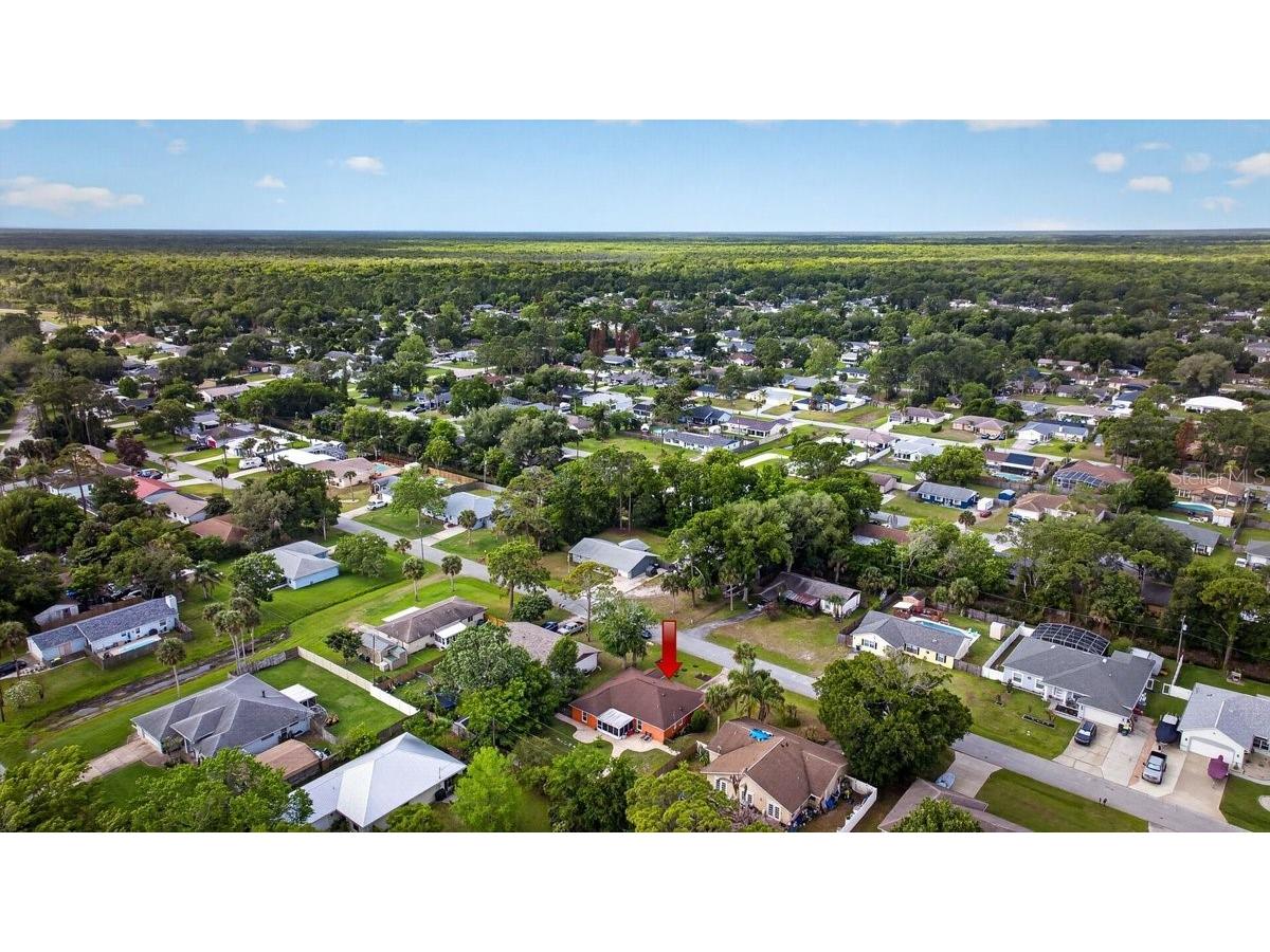 3223 Travelers Palm Drive Edgewater FL 32141 V4948798 image38