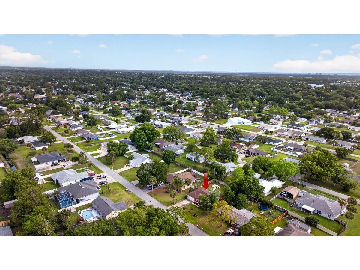3223 Travelers Palm Drive Edgewater FL 32141 V4948798 image40