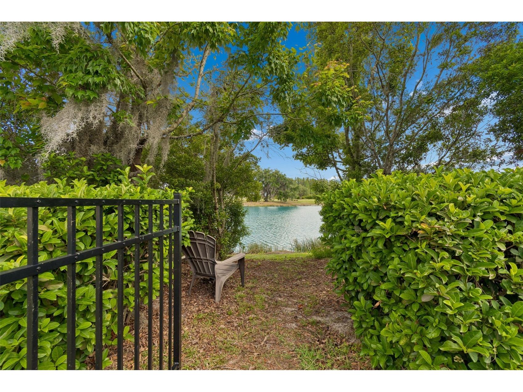32237 Watoga Loop Wesley Chapel FL 33543 TB8500050 image24