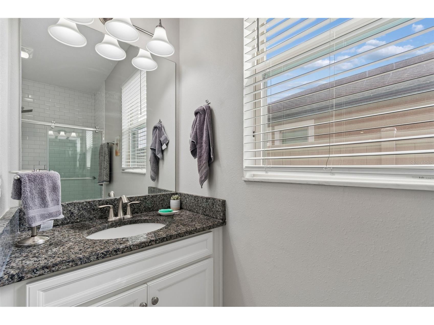 32237 Watoga Loop Wesley Chapel FL 33543 TB8500050 image30