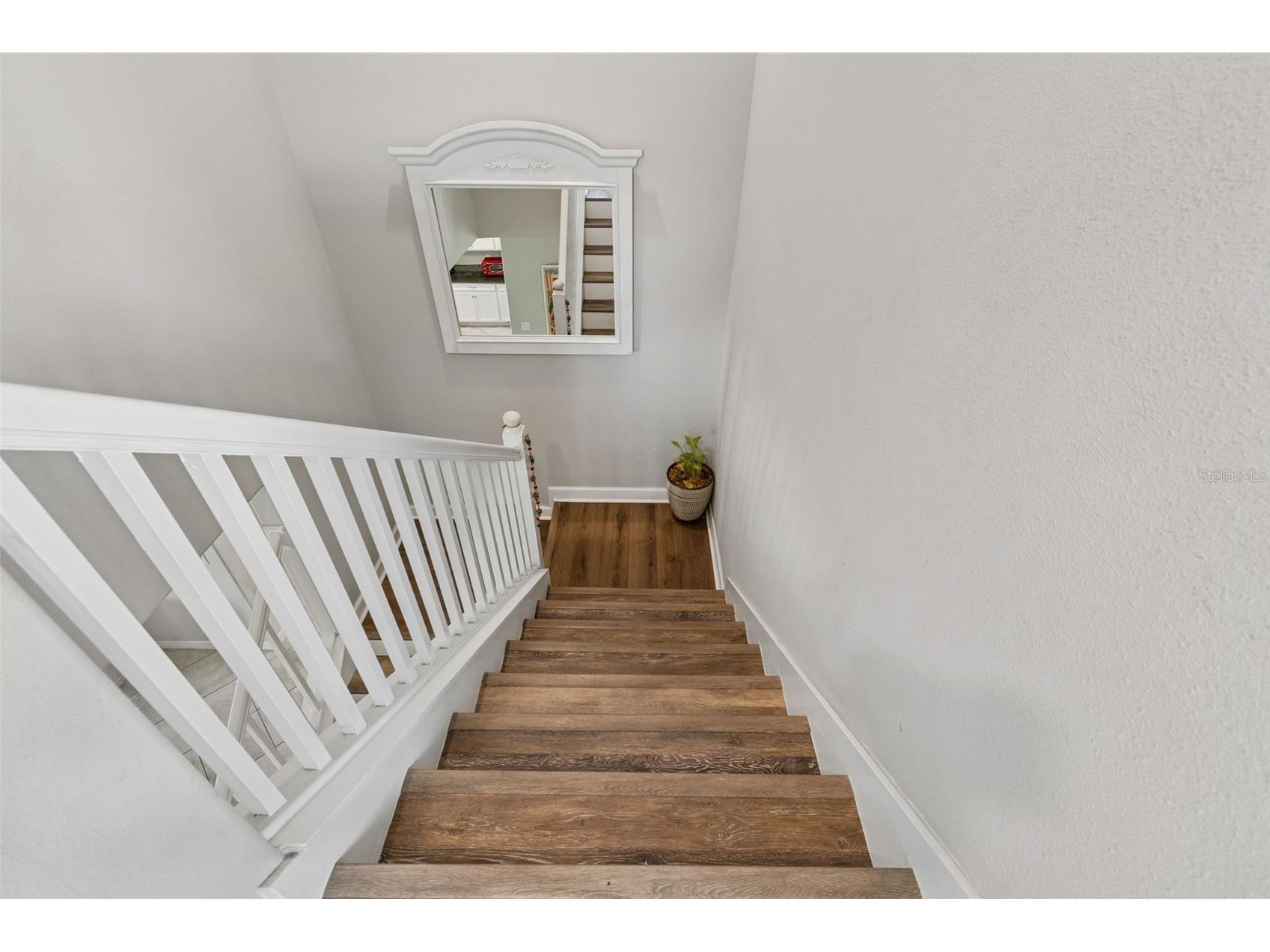 32237 Watoga Loop Wesley Chapel FL 33543 TB8500050 image33