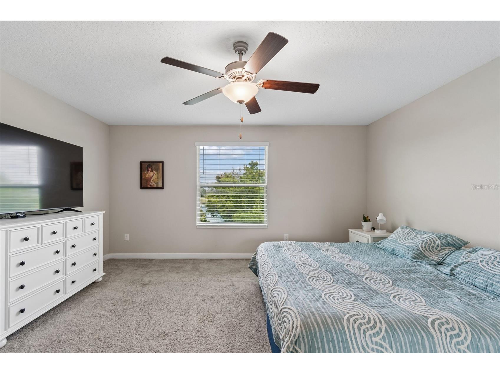 32237 Watoga Loop Wesley Chapel FL 33543 TB8500050 image38
