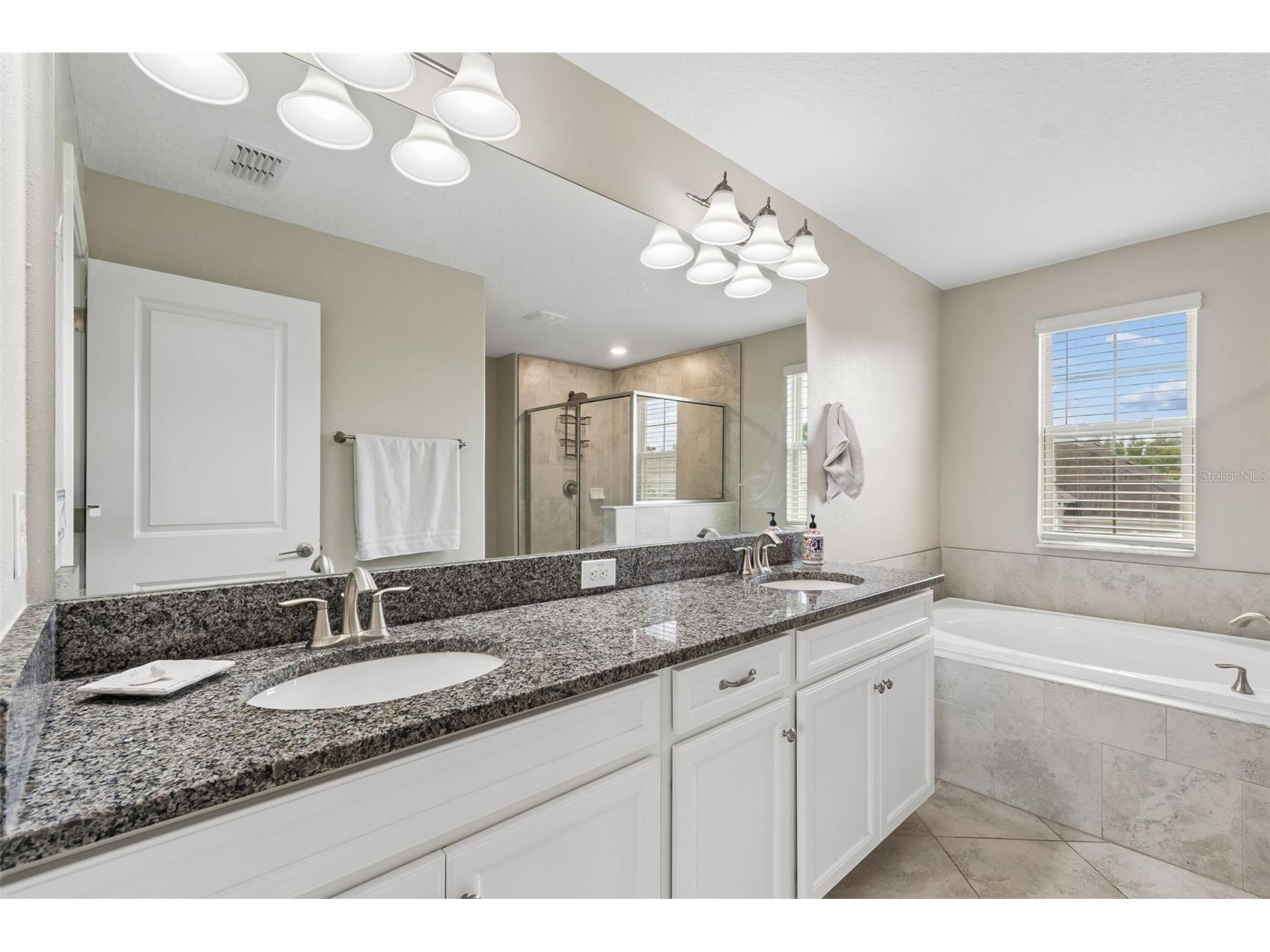 32237 Watoga Loop Wesley Chapel FL 33543 TB8500050 image39