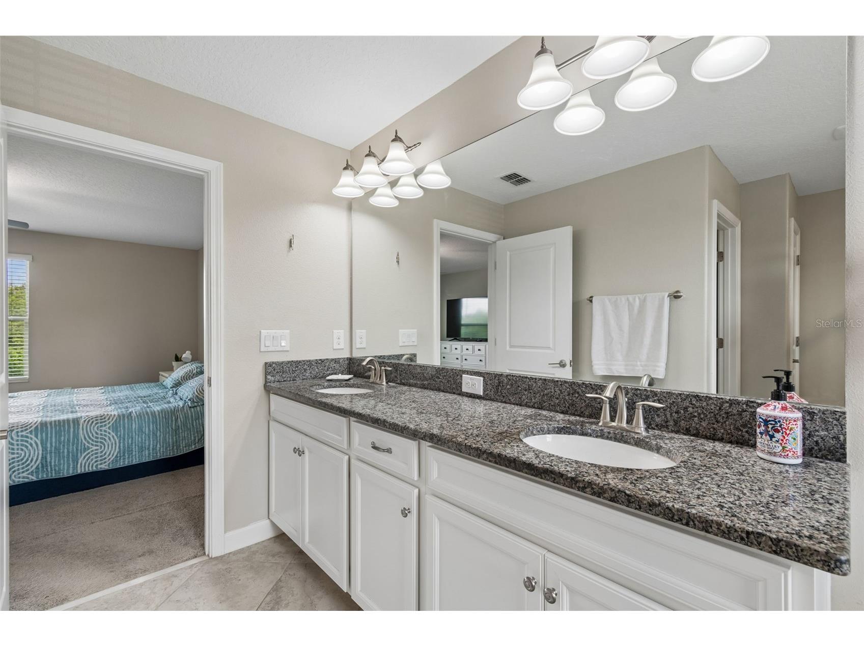 32237 Watoga Loop Wesley Chapel FL 33543 TB8500050 image40