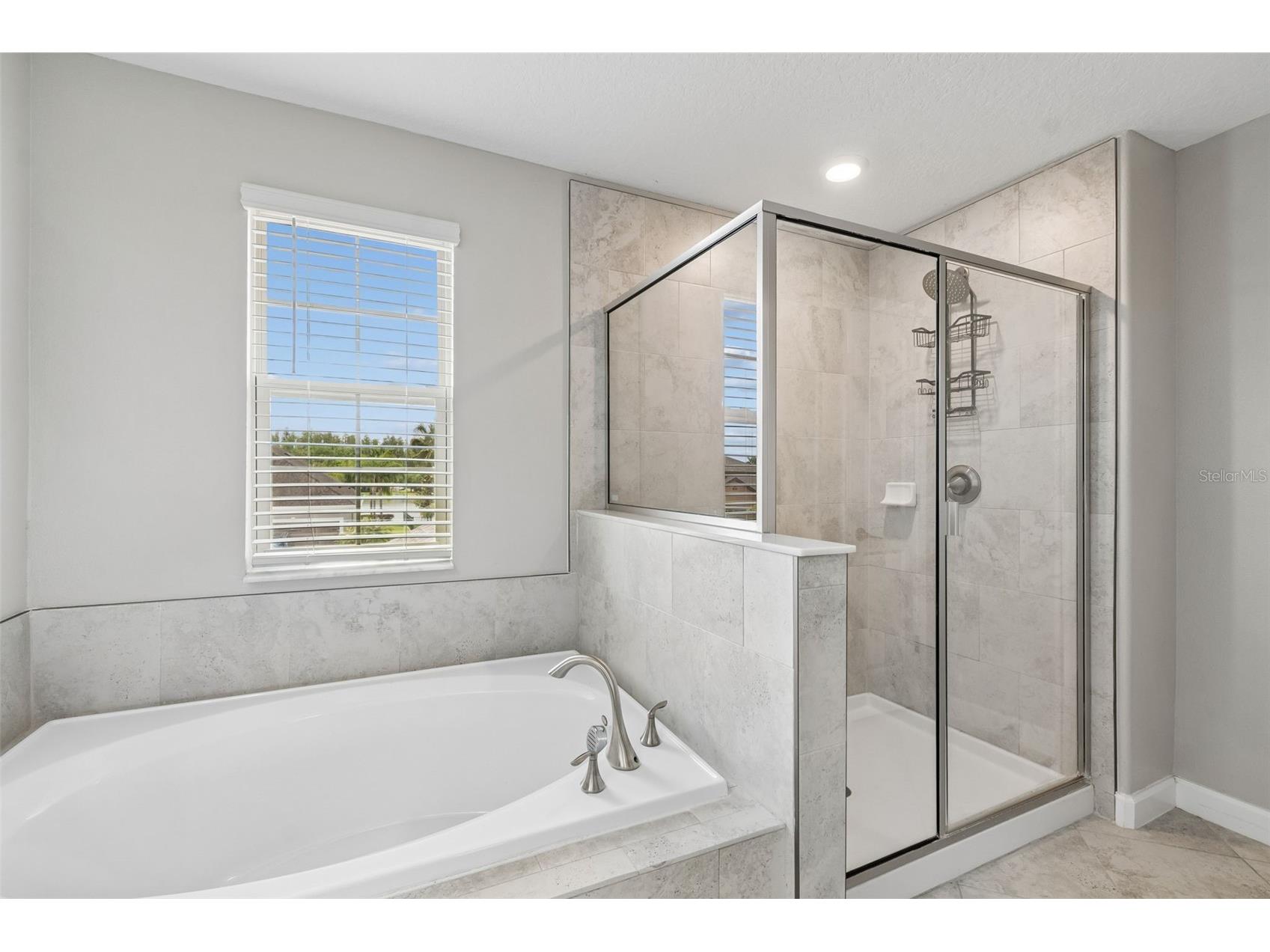 32237 Watoga Loop Wesley Chapel FL 33543 TB8500050 image41