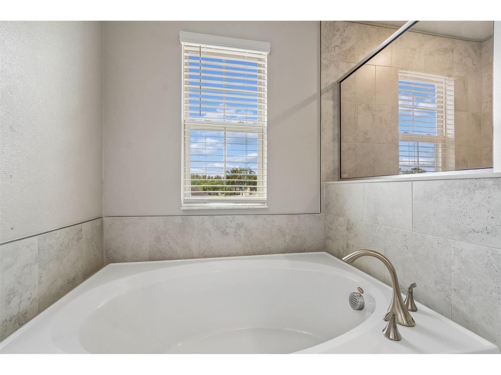 32237 Watoga Loop Wesley Chapel FL 33543 TB8500050 image43