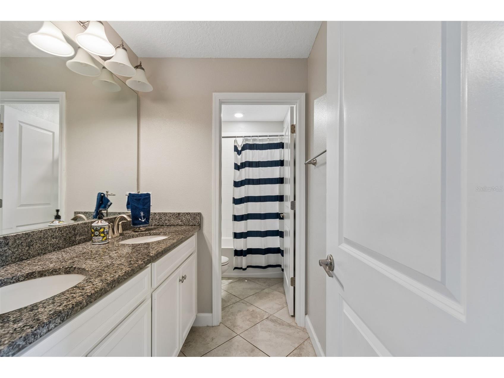 32237 Watoga Loop Wesley Chapel FL 33543 TB8500050 image46