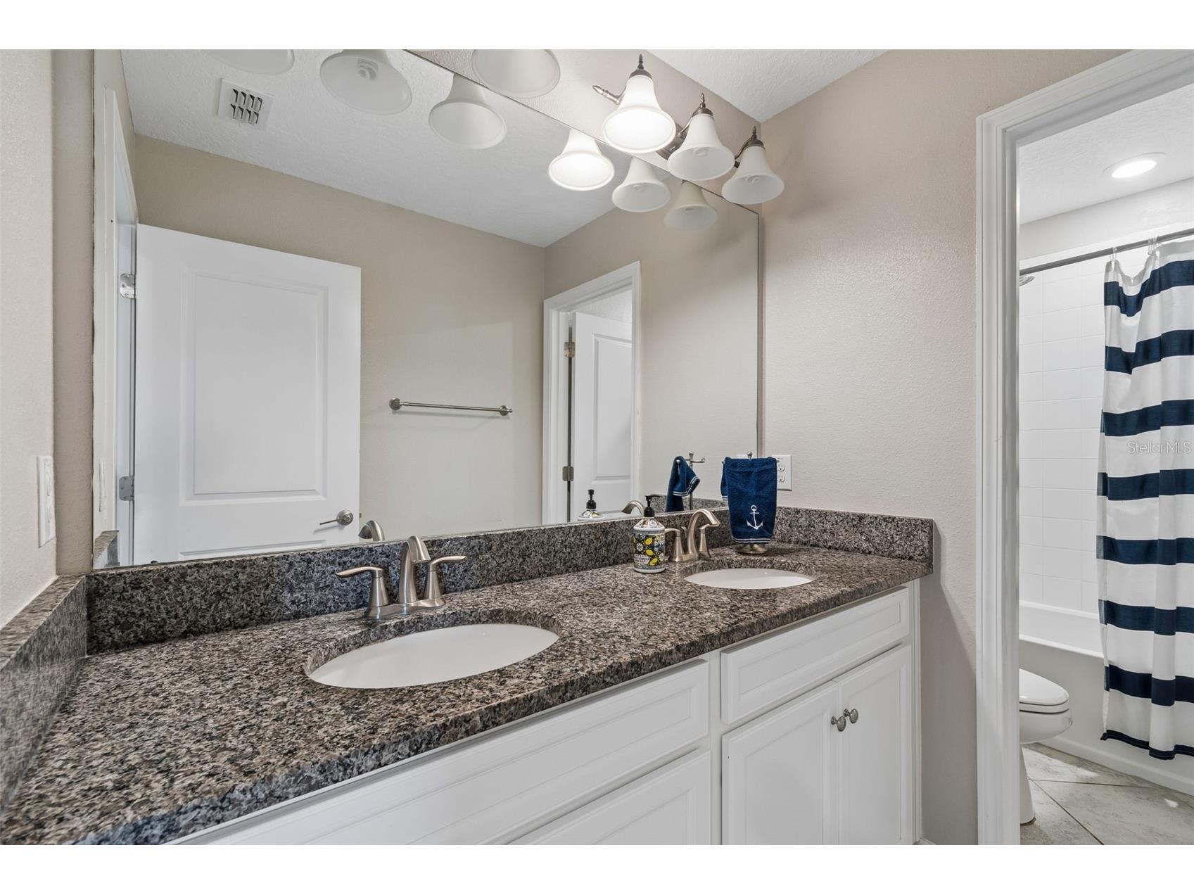 32237 Watoga Loop Wesley Chapel FL 33543 TB8500050 image47