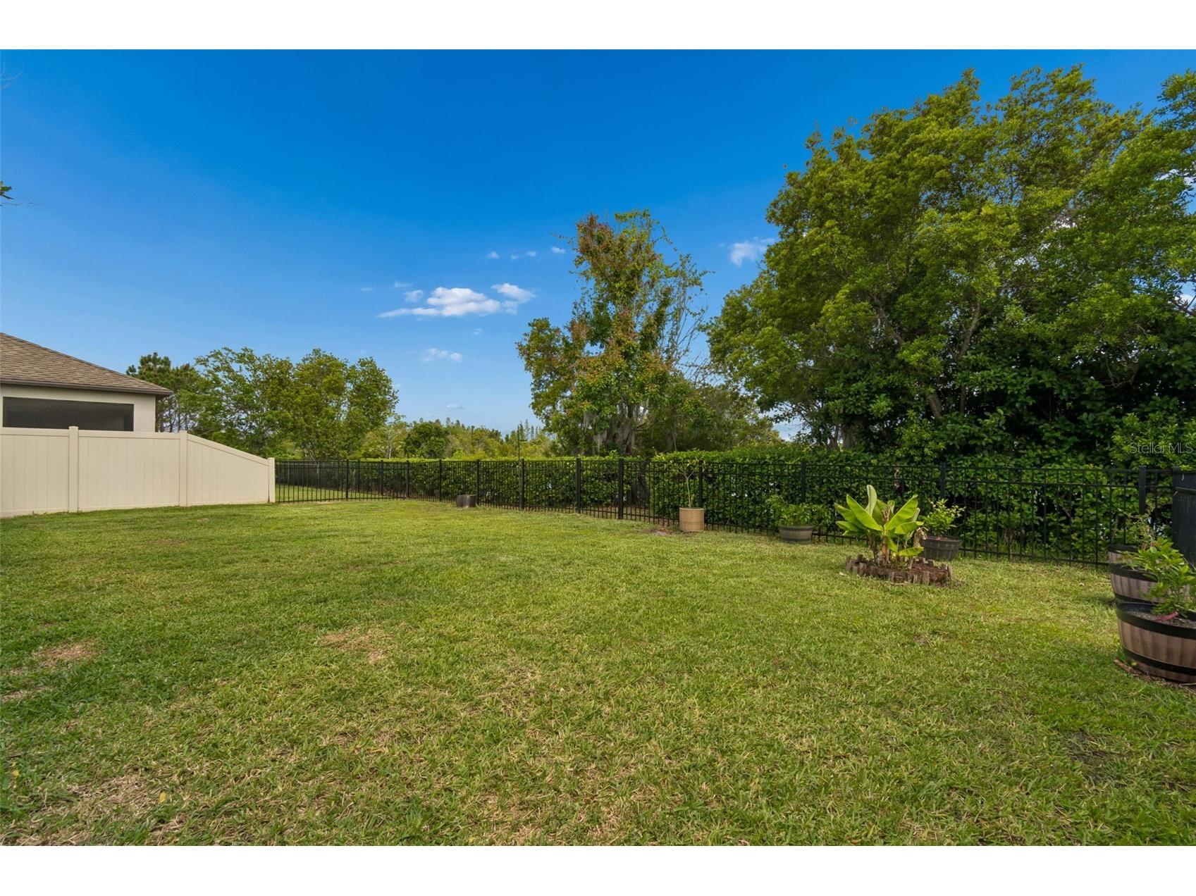 32237 Watoga Loop Wesley Chapel FL 33543 TB8500050 image52