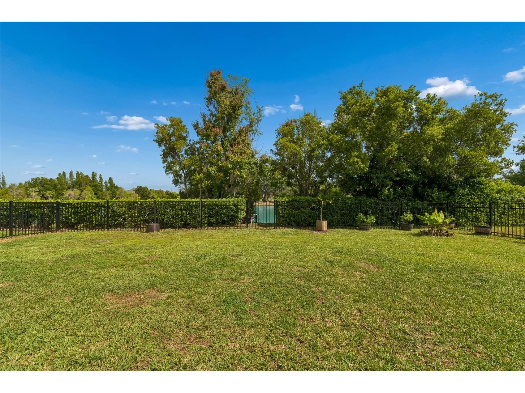 32237 Watoga Loop Wesley Chapel FL 33543 TB8500050 image55