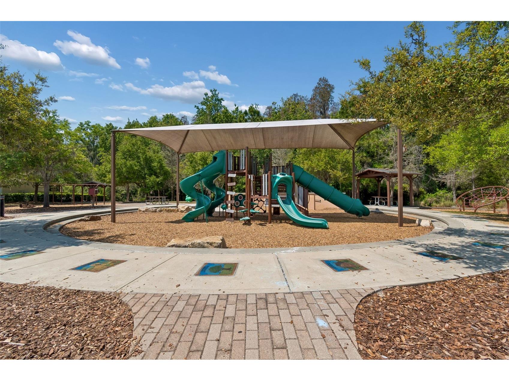 32237 Watoga Loop Wesley Chapel FL 33543 TB8500050 image61