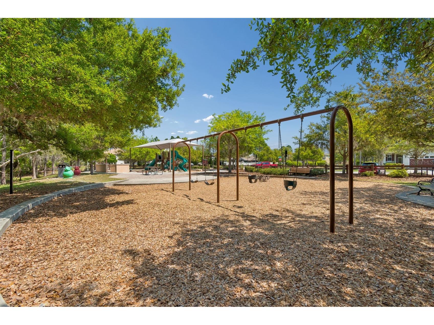 32237 Watoga Loop Wesley Chapel FL 33543 TB8500050 image62