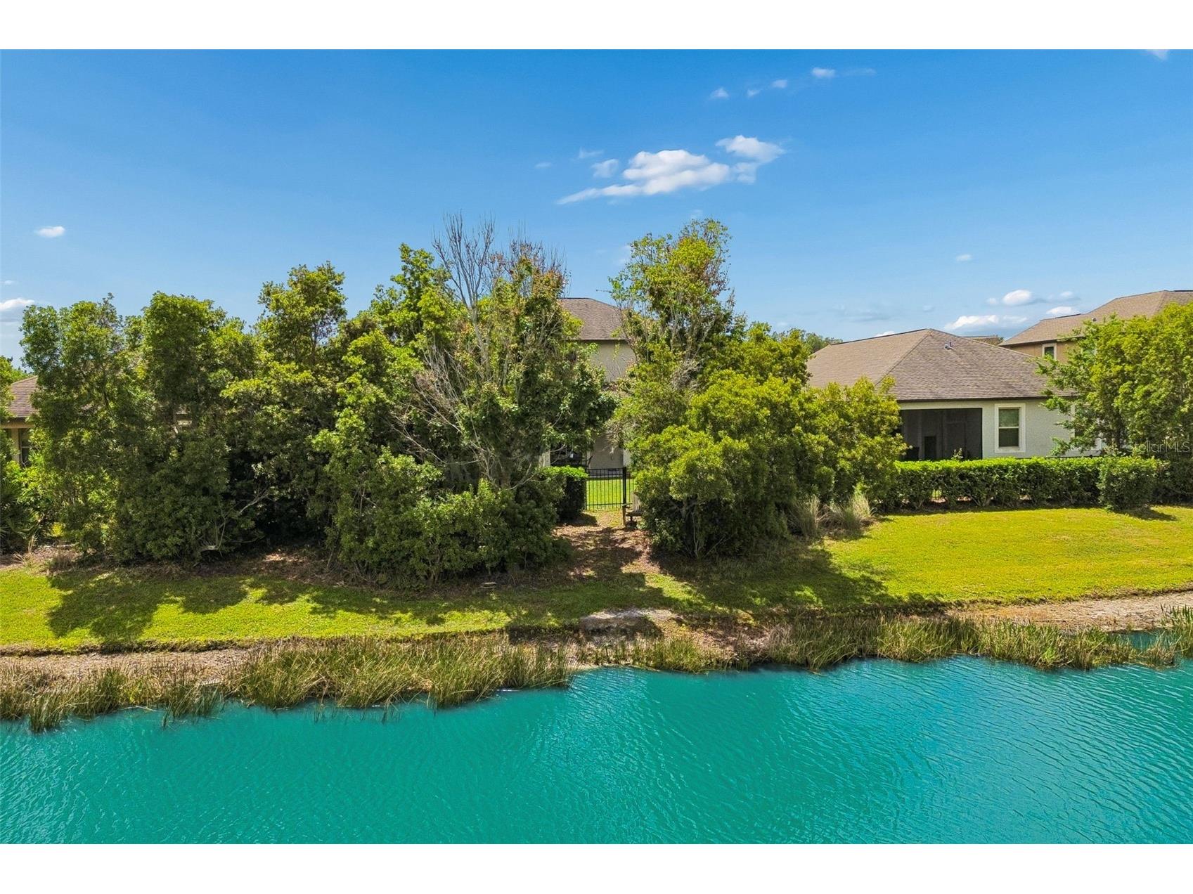 32237 Watoga Loop Wesley Chapel FL 33543 TB8500050 image63