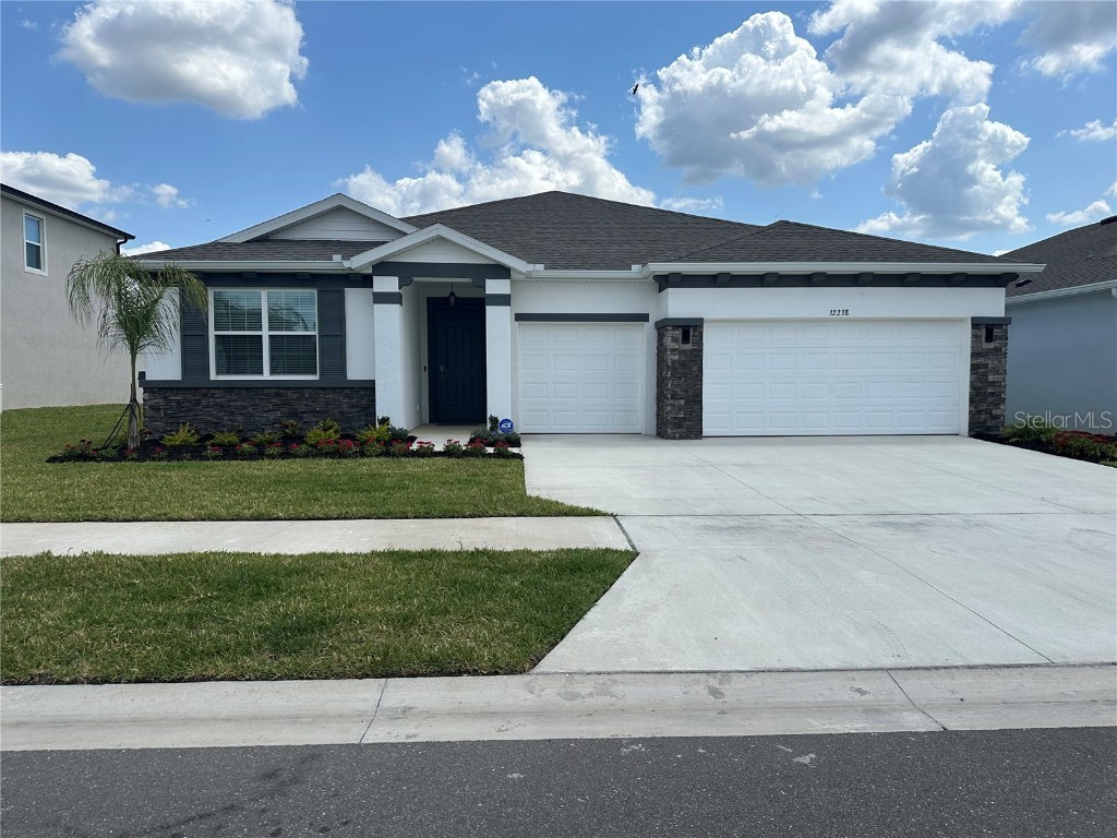 32238 Conchshell Sail Street Wesley Chapel FL 33545 T3524462 image1