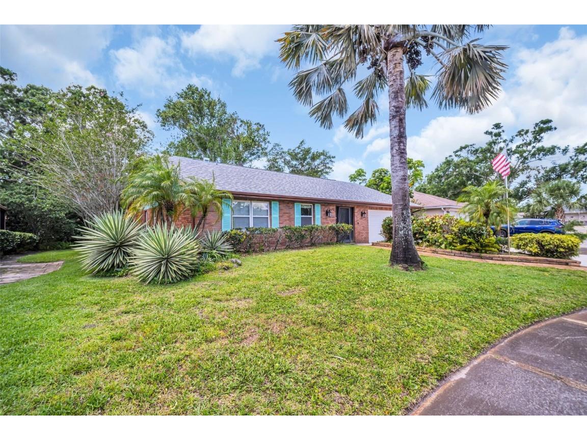 3224 Hilary Circle Palm Harbor FL 34684 TB8385106 image1