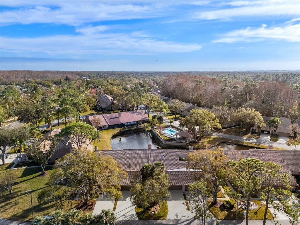 3224 Jademoor Circle Palm Harbor FL 34685 TB8343635 image1