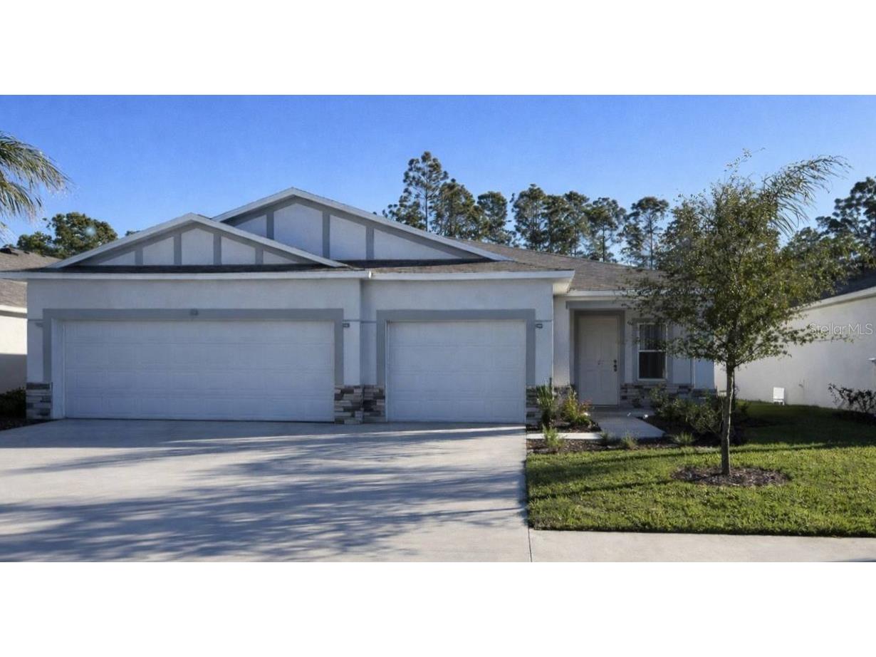 3224 Needle Palm Drive Edgewater FL 32141 O6385032 image1