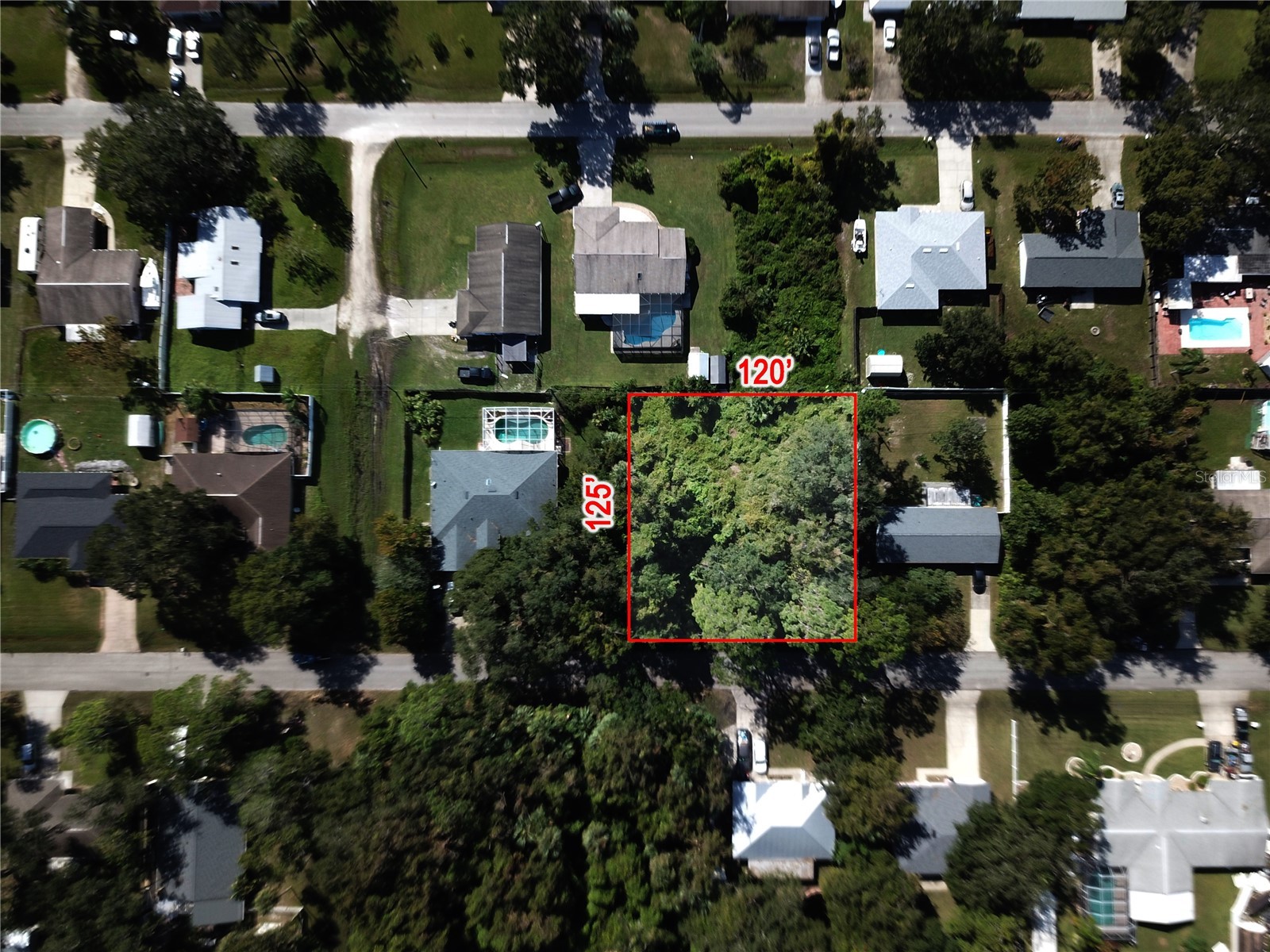 3224 Needle Palm Drive Edgewater FL 32141 V4938998 image1