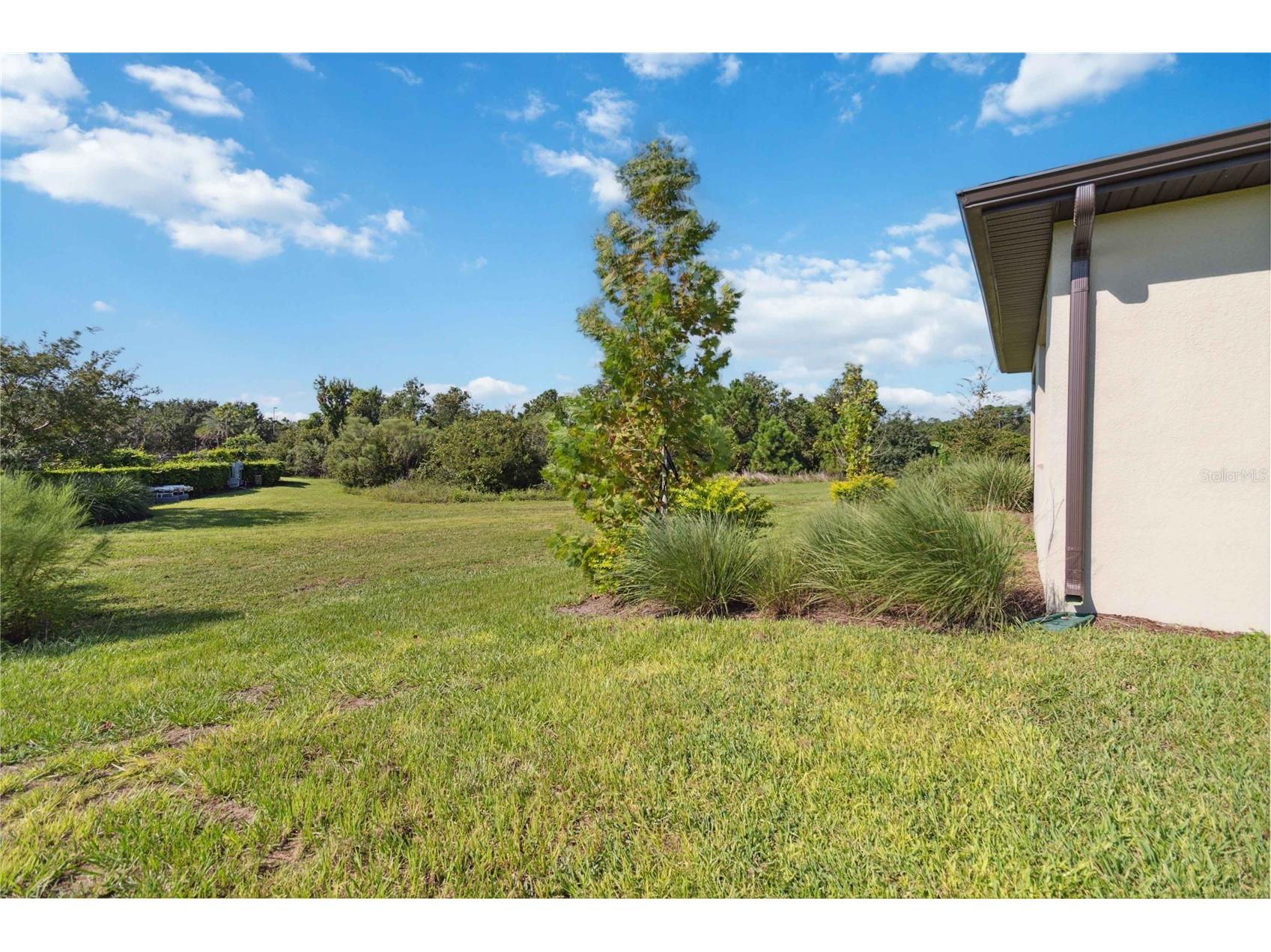 3224 Oxbow Court Harmony FL 34773 S5146906 image45