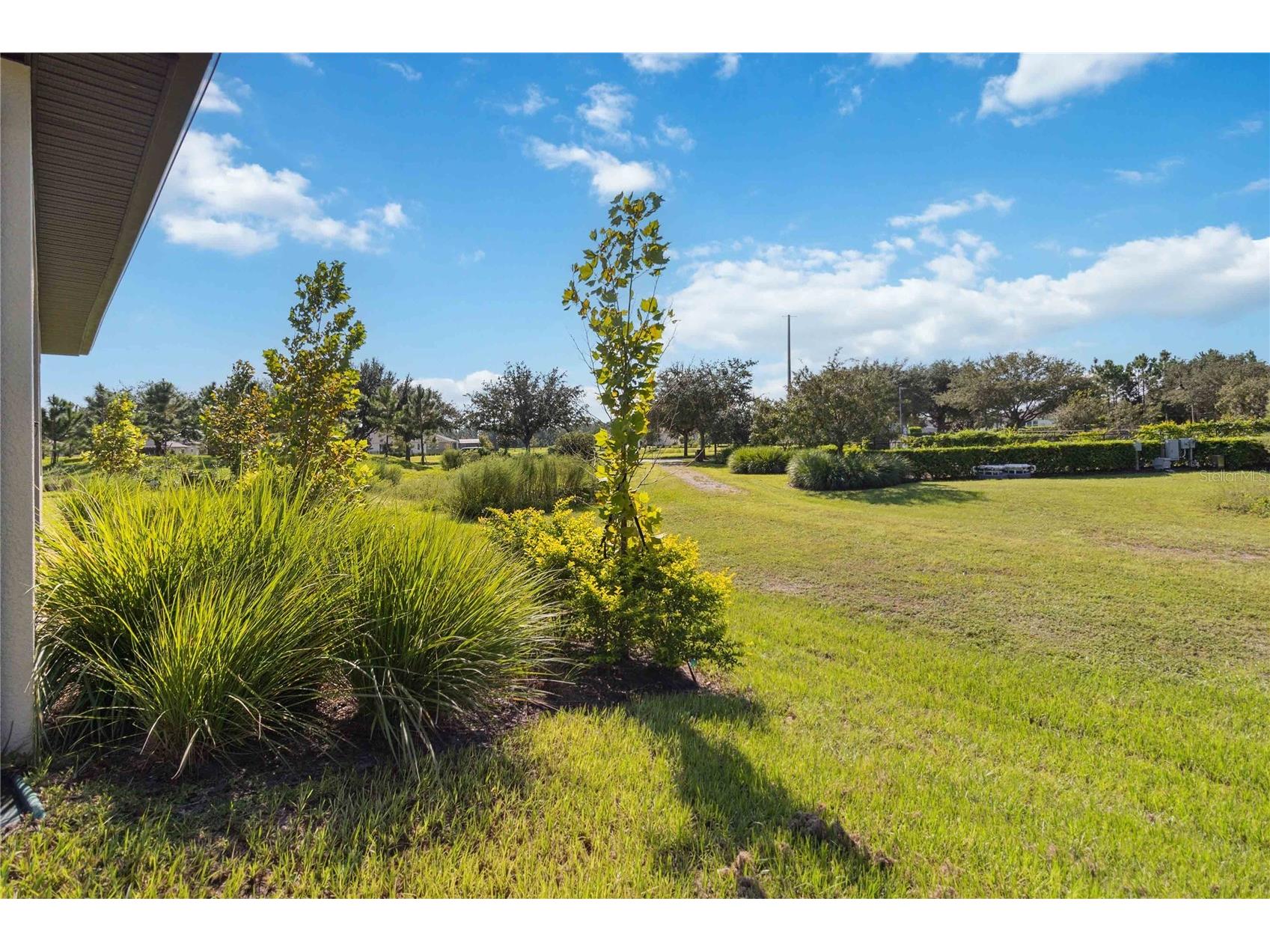 3224 Oxbow Court Harmony FL 34773 S5146906 image49